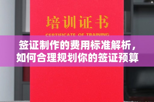 高雄签证制作的费用标准解析，如何合理规划你的签证预算