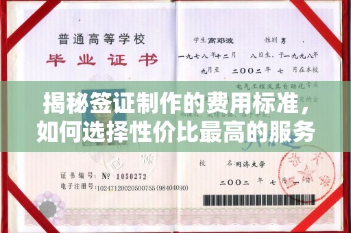 高雄揭秘签证制作的费用标准，如何选择性价比最高的服务？