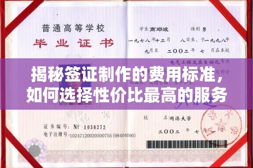 高雄揭秘签证制作的费用标准，如何选择性价比最高的服务？